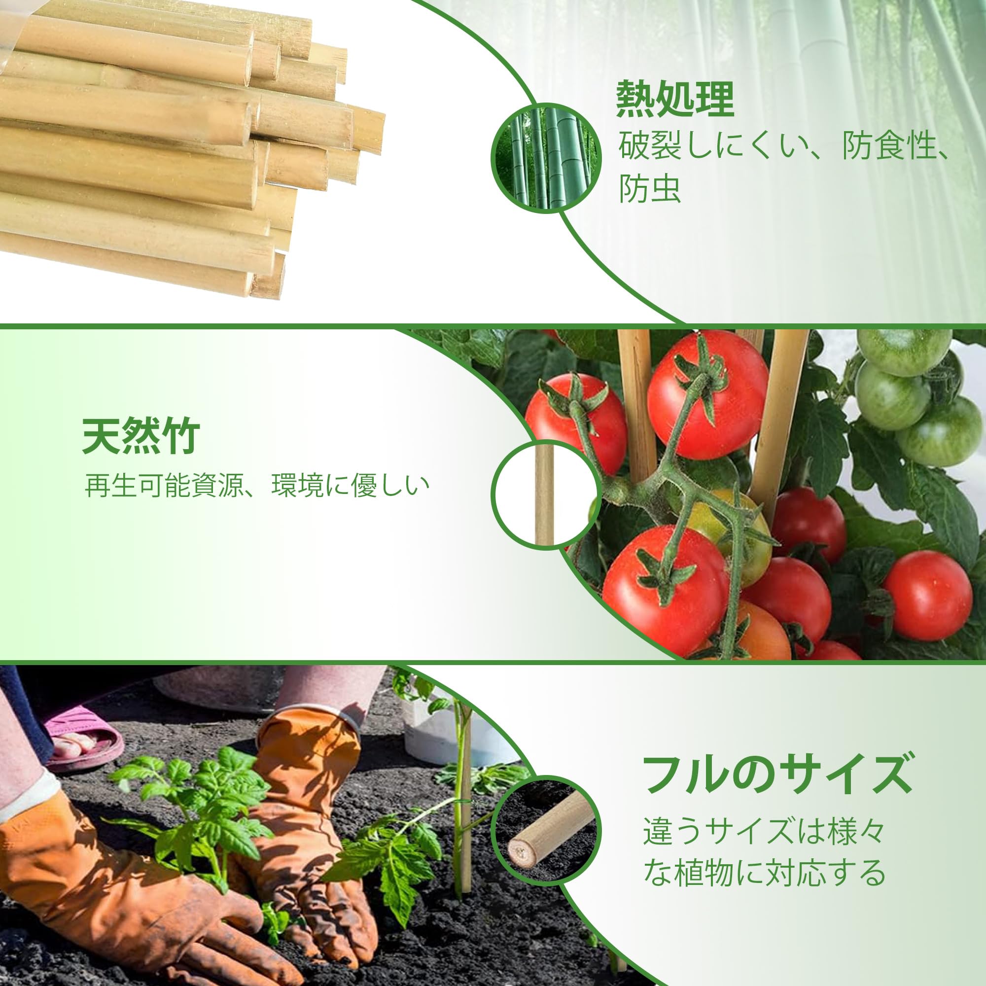 Amazon | 園芸 支柱180cm、天然竹 支柱 25本入り、篠竹 しの竹 家庭